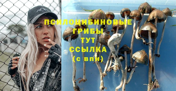 тгк Пересвет