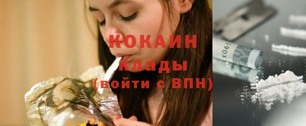 тгк Пересвет