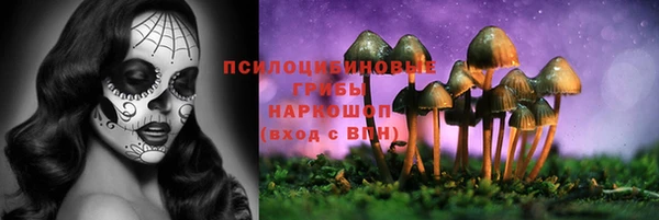 mdma Пестово