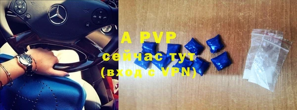 тгк Пересвет