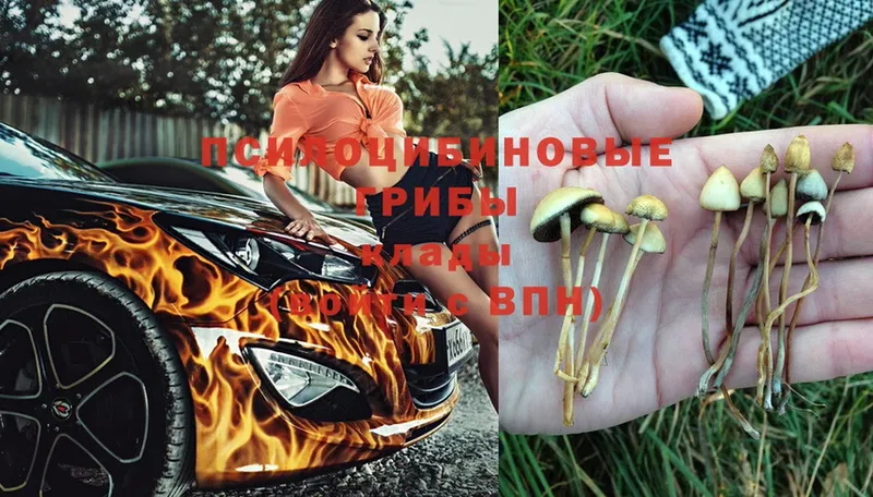 МЕГА ссылки  Алапаевск  Галлюциногенные грибы прущие грибы  продажа наркотиков 
