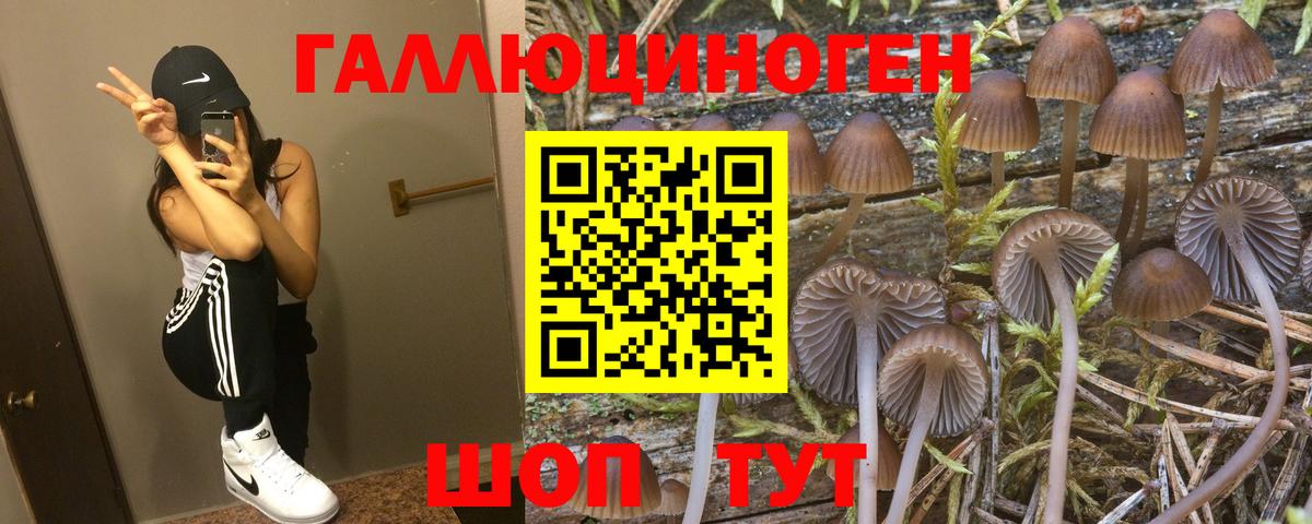 Алапаевск  Псилоцибиновые грибы Psilocybine cubensis  Вход с VPN 