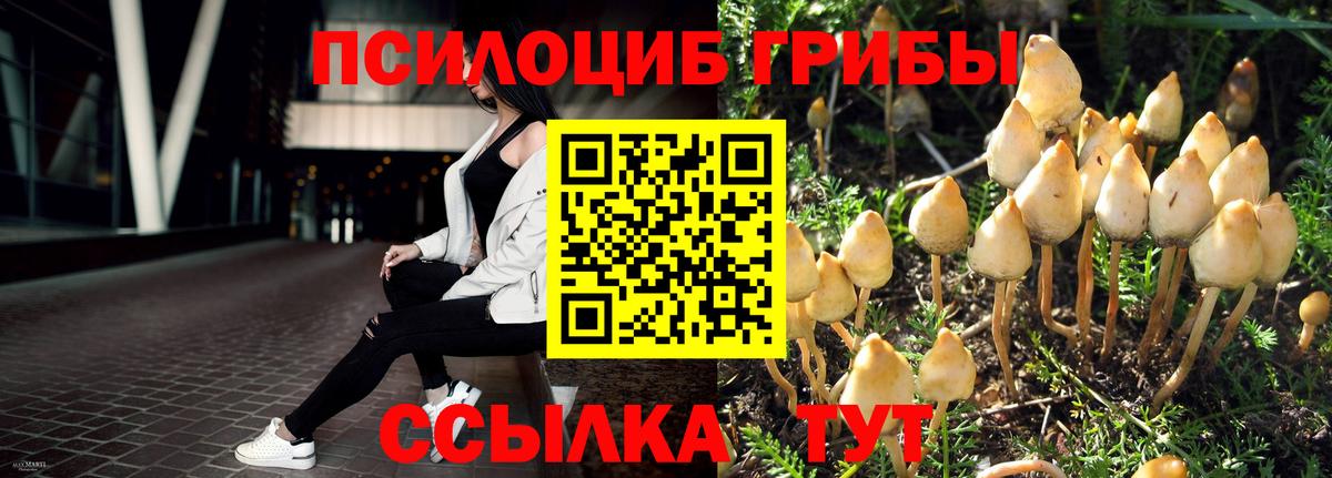 Галлюциногенные грибы мухоморы Алапаевск